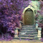 Magic Door Amongst Purple Leaves