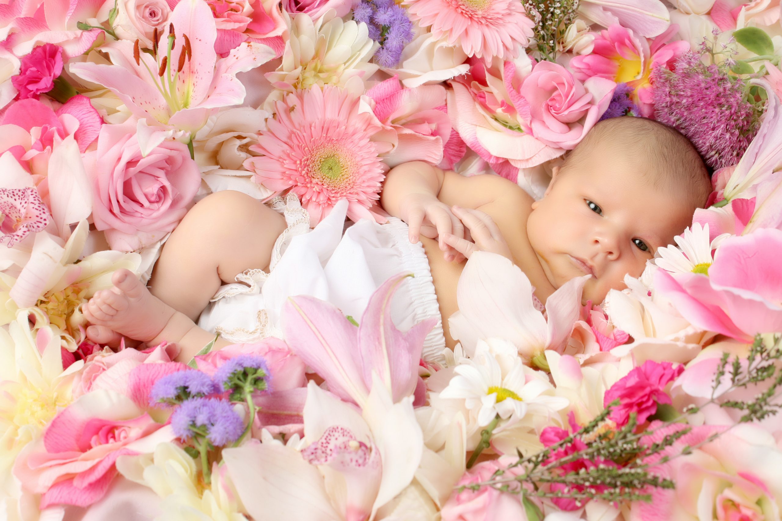 beautiful baby pictures with flowers 10 scaled